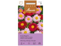 Samen Mauser Bunte Margerite Mischung