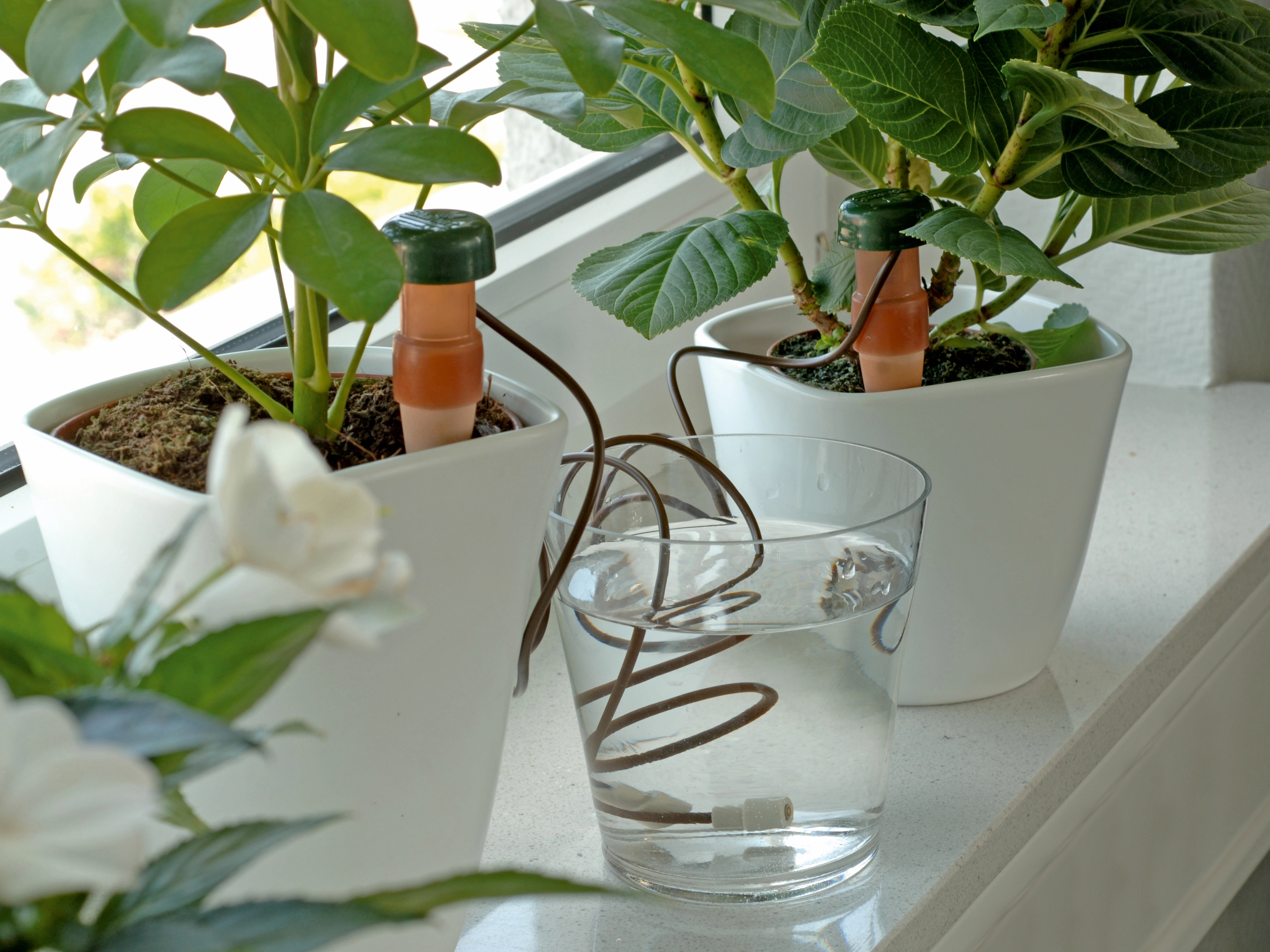 Sistema di irrigazione automatica per piante da appartamento