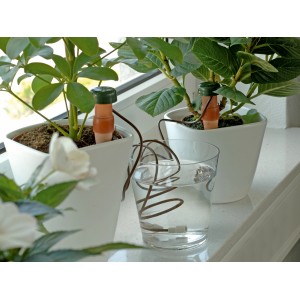 Système d'arrosage automatique pour plantes d'intérieur avec cône en argile et verre d'eau.