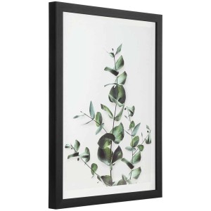 Tableau Eglo Roberval avec motif eucalyptus dans un cadre noir, 32,5x42,5 cm.