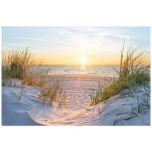 Maxiposter Golden Hour (61x91,5 cm): Strand mit Düne im goldenen Abendlicht.