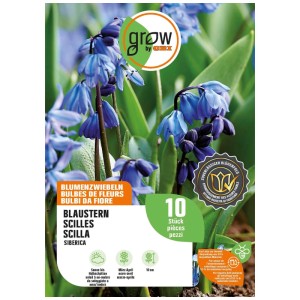 GROW by OBI Scilla siberica blu, 10 pezzi. Bulbo a fioritura primaverile per giardino e aiuola.