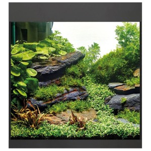 Oase Aquarium Styleline 85, aquarium noir de 75 l avec plantes et pierres.
