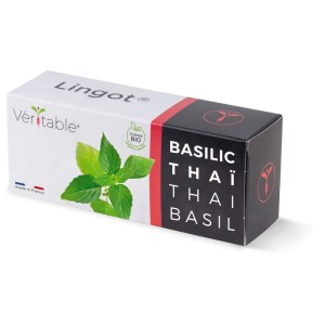 Véritable Lingot graines de basilic thaï bio dans un kit de culture pour jardins d'intérieur.