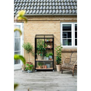 Serre Juliana Urban City anthracite avec plantes sur une terrasse.