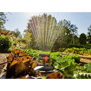 Irrigatore oscillante Gardena AquaZoom Compact che irriga l'orto. Irrigatori con getti d'acqua in uso.