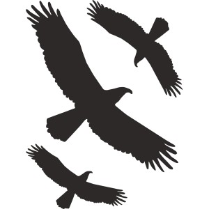 Autocollant contour motifs d'oiseaux, 30x20cm, en PVC pour intérieur et extérieur.