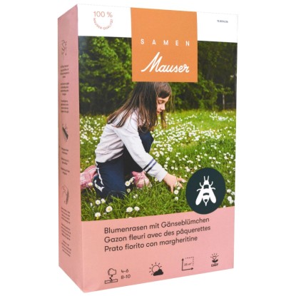 Samen Mauser Rasensamen Gänseblümchenmischung