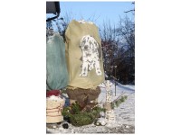 Videx Winterschutz-Vlieshaube Hund MARLEY 110 cm x 110 cm Beige/Grau