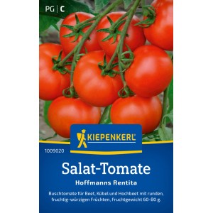 Graines de tomate à salade Kiepenkerl Hofmanns Rentita avec des tomates rouges mûres sur la plante.