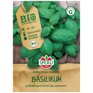 Graines de basilic bio Sperli, variété Grosser Grüner Genoveser, pour pots et plates-bandes.
