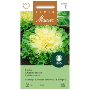Sachet de graines d'endive Bubikopf : Laitue fraîche auto-blanchissante pour fin d'été et automne.