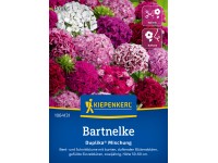Kiepenkerl Saatgut Bartnelke Duplika® Mischung Kiepenkerl Saatgut Bartnelke Duplika® Mischung