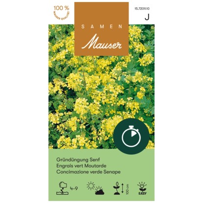 Samen Mauser Engrais vert Moutarde à semer Jaune 250 g