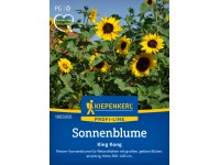 Kiepenkerl Sonnenblume King Kong Helianthus annuus Kiepenkerl Sonnenblume King Kong Helianthus annuus