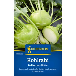 Kiepenkerl Kohlrabi Delikatess Witte, bulbes vert clair avec feuillage.