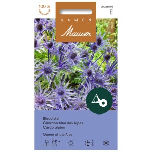 Graines Mauser Chardon bleu des Alpes 'Queen of the Alps', fleurs bleu acier sur l'emballage.