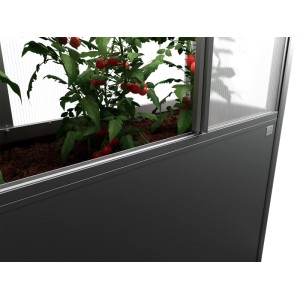 Biohort Florentina serre pour potager surélevé, 2x1m, gris foncé métallisé, avec plant de tomate.