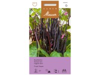 Samen Mauser Buschbohne Purple Teepee