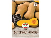 Sperli Saatgut Butternut-Kürbis Hunter F1 8 Pflanzen