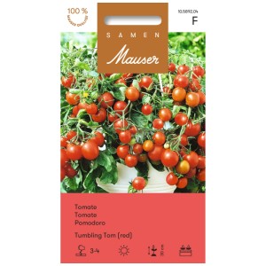 Sachet de graines de tomate 'Tumbling Tom' : Tomate retombante avec des fruits rouges et ronds pour balcons et suspensions.