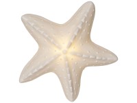 Star Trading LED-Figur Seaside Weiss 4 x 15 x 15 cm
