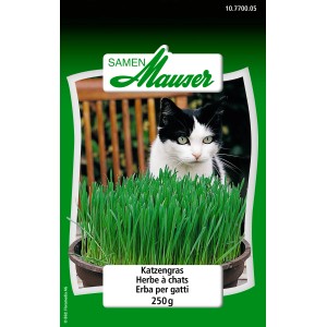 Confezione di semi di erba gatta con gatto sullo sfondo, confezione da 250g per una sana digestione.