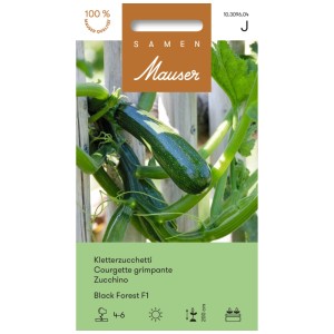 Sachet de graines de courgette grimpante Black Forest : Courgette grimpante sur treillis.