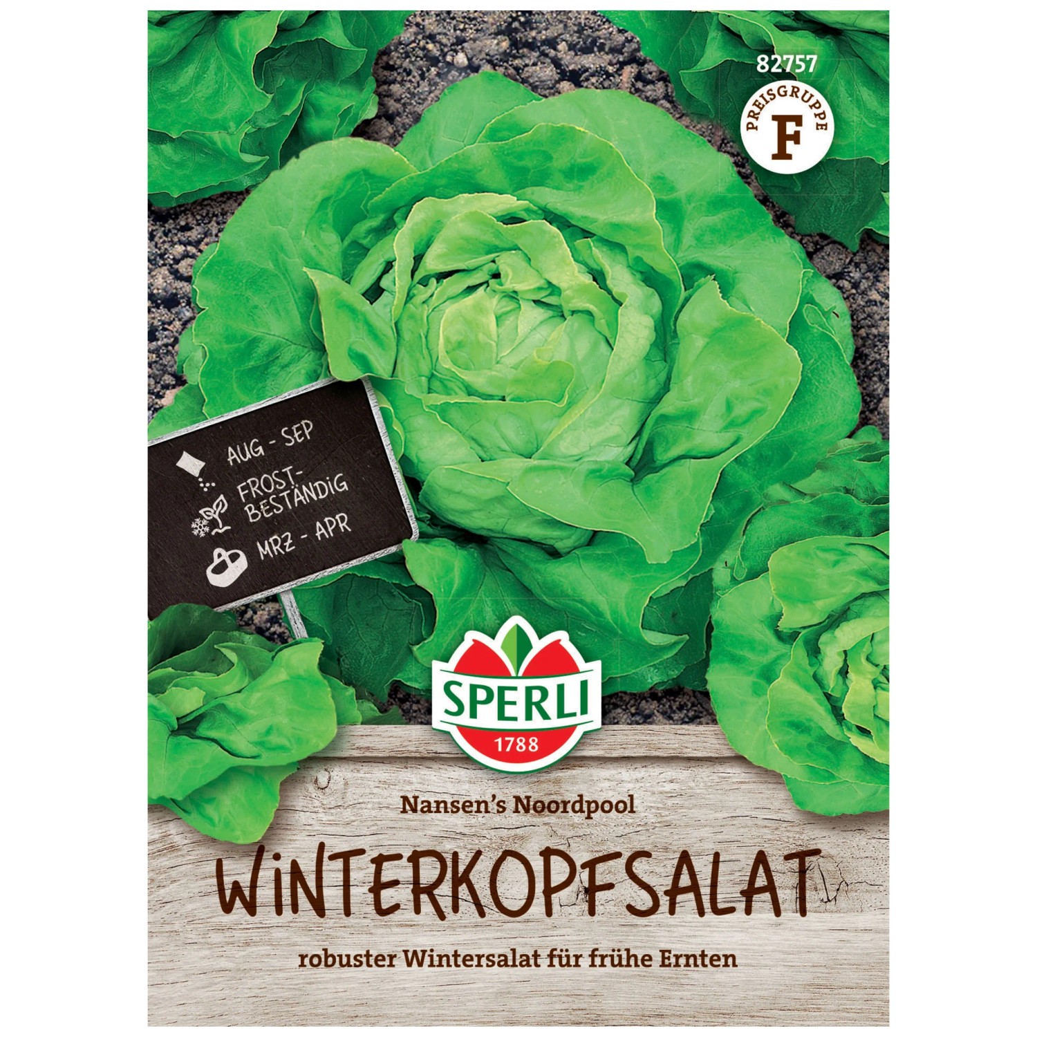 Sperli Saatgut Winterkopfsalat Nansen's Noordpool 150 Pflanzen