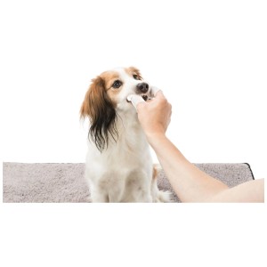 Cane con denti puliti con cuscinetto per la cura dentale Trixie. Igiene orale per cani.