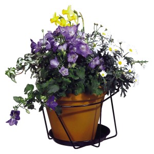 Portavaso da muro OBI antracite Ø 20 cm con vaso piantato e fiori colorati.