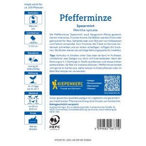 Graines de Menthe verte Spearmint Kiepenkerl : Herbe aromatique pour jardin et balcon.