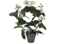 Mica Decorations Kunstpflanze Stephanotis Weiss Topf Ø 40 cm / Höhe 50 cm