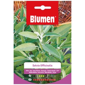 Confezione di semi di salvia Mauser con foglie verdi di salvia.