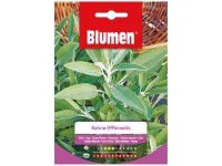 Samen Mauser Kräutersamen Salbei