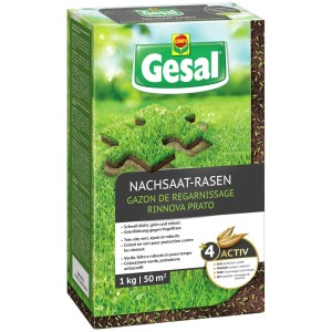 Gesal Gazon de regarnissage 1 kg : Semences pour un gazon dense et vert.