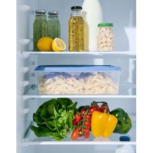 Contenitore frigo Rotho Rondo, quadrato, 5 l, blu orizzonte, in frigo con alimenti.