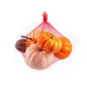 Zierkürbis-Mischung im Netz: Verschiedene Kürbisse in Orange, Weiß und Grün für die Herbstdeko.