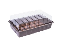 Videx Garden Zimmertreibhaus mit 28 Kokos-Quelltabs (HxBxT) 13 x 22 x 36 cm