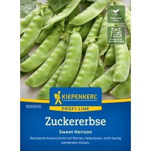 Pois gourmand Kiepenkerl Sweet Horizon : gousses vertes sans fil, variété résistante pour plates-bandes et pots.