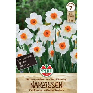 Verpackung kleinkronige Narzisse Barrett Browning mit weißen Blüten und orangefarbener Krone.