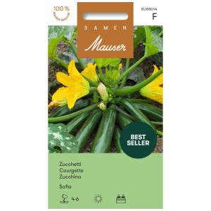 Sachet de graines de courgettes Zucchetti Sofia avec courgettes vert foncé et fleurs jaunes.
