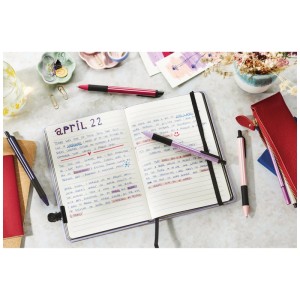 Set de stylos à bille Stabilo Pointball bordeaux, 10 pièces, utilisé avec un carnet.