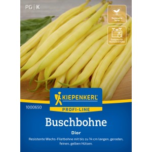 Haricot nain Kiepenkerl Dior : Haricots beurre jaunes, résistants et idéaux pour les potagers surélevés.