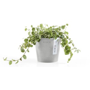 Pot de fleurs Ecopots Amsterdam Mini, blanc-gris, 10,5 cm, avec plante verte.