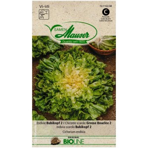 Sachet de graines d'endive Bubikopf 2 Bio, semences potagères pour pleine terre, variété au cœur dense.