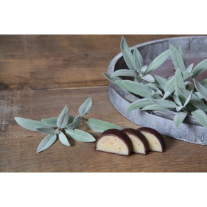 Sauge Blu Marzipan en pot (Ø 12cm) avec des bonbons en massepain sur bois.