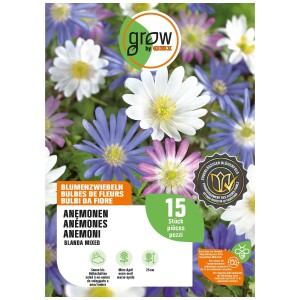 Paquet d'anémones Blanda GROW by OBI, bulbes de fleurs avec des fleurs blanches, bleues et roses.