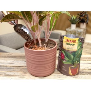 Seramis Topper Espresso 1L versato in un vaso con una pianta, confezione sullo sfondo.
