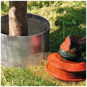 Bordure de pelouse circulaire Bellissa (Ø 40 cm) en métal galvanisé autour d'un arbre, coupe-bordure sur l'image.